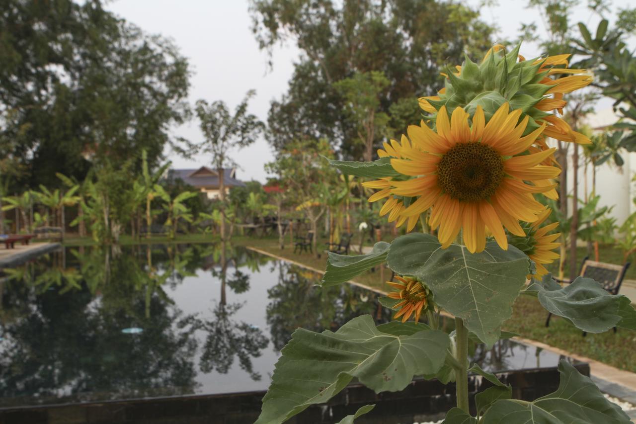 Blue Spring Boutique Hotel Siem Reap Luaran gambar