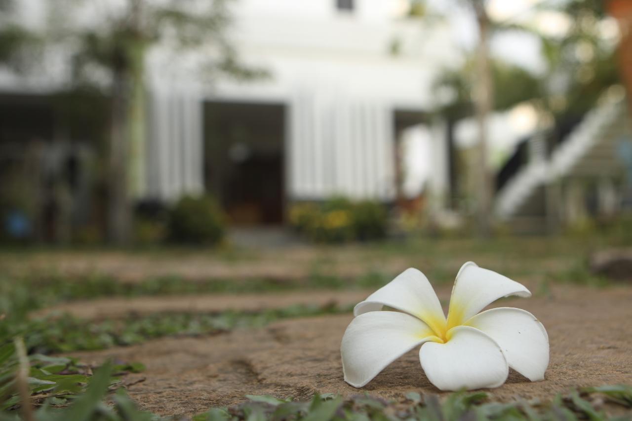 Blue Spring Boutique Hotel Siem Reap Luaran gambar