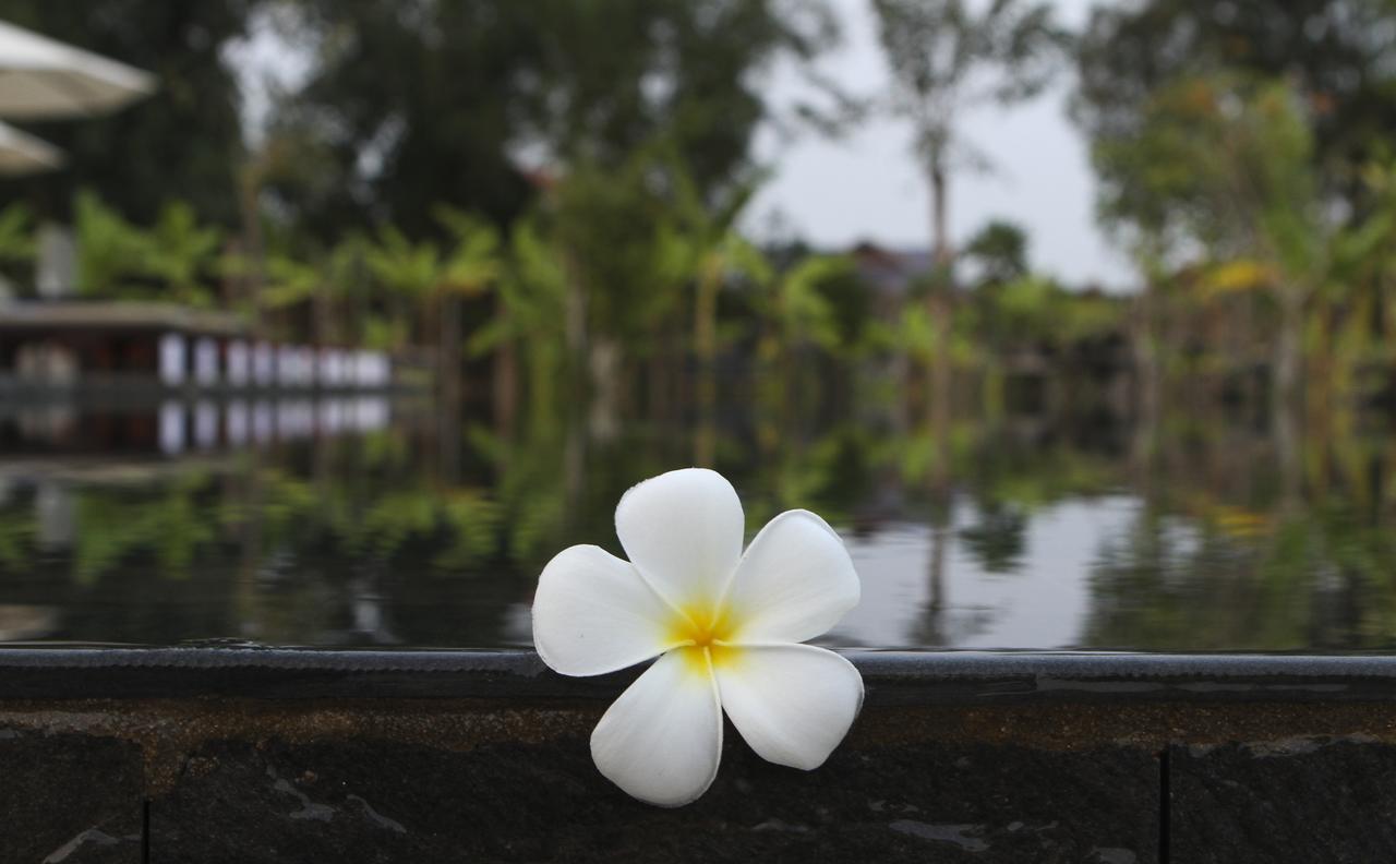 Blue Spring Boutique Hotel Siem Reap Luaran gambar